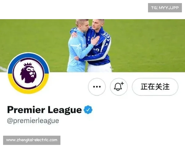 如何理解英超暂停的原因及其对赛季进程的影响分析 如何理解英超暂停的原因及其对赛季进程的影响分析