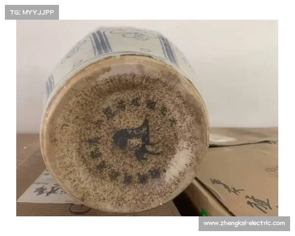 揭秘法甲冠军徽标演变历史与背后荣耀象征之深意与传奇文化渊源魅