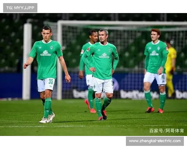 德甲非拜仁球队战术革新分析与发展趋势探讨