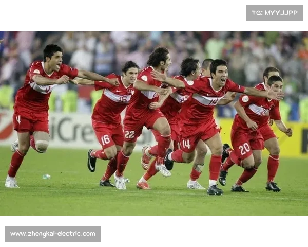 意大利逆袭法国成功晋级2008欧洲杯四强全程回顾