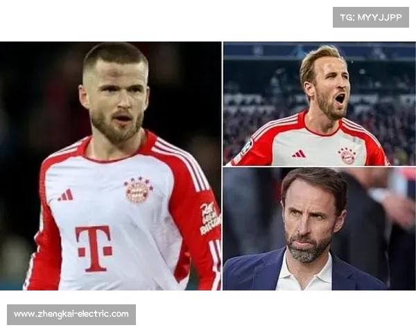 拜仁与戴尔未来发展评估及其可能带来的行业变革分析